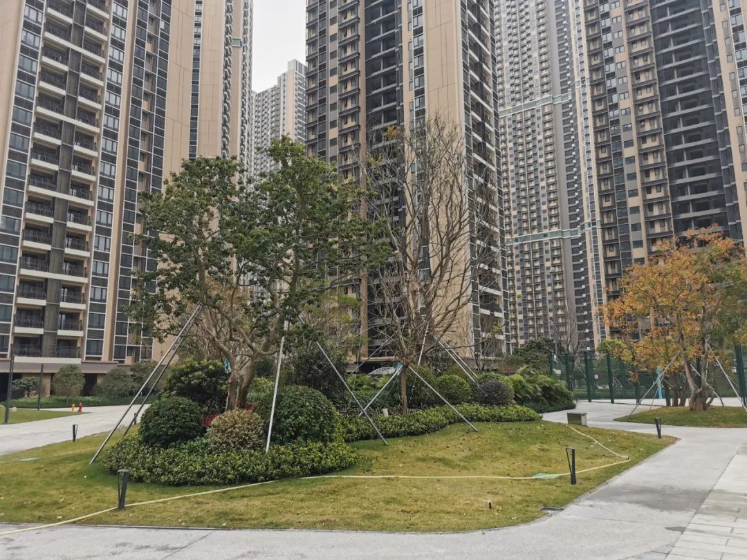 1680761816985427.jpg 微信圖片_20230406141006.jpg